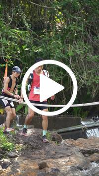 BIB:  <button type="button" onclick="openModal(27735458)" class="btn btn-primary btn-sm float-right" data-toggle="modal" data-target=".modal-high-quality">
                <i class="fa fa-download"></i> Download
                </button>